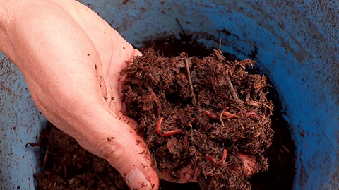 Sernaglia: Humus per la fertilità del terreno