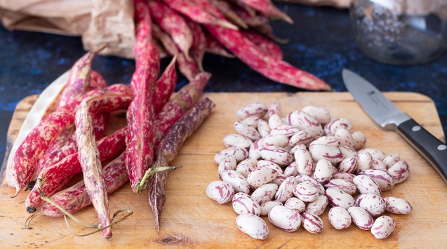 Legumi: tutti i giorni a tavola! I consigli del Dott. Berrino 