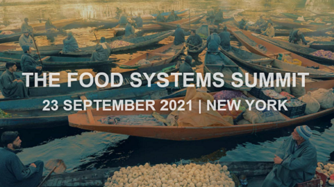 Food, il sistema dei sistemi