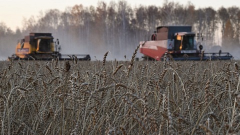 La guerra in Ucraina, il prezzo del cibo e l’attacco alla transizione ecologica