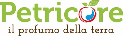 Petricore logo ridotto