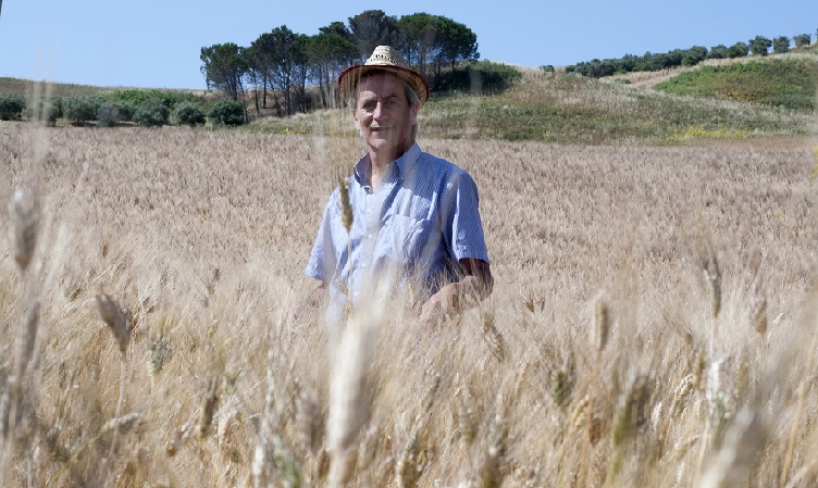 Cereali, rinascimento in campo